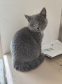 https://www.waibe.fr/sites/delphine59h/medias/images/__HIDDEN__galerie_6/IMG_20260424_161027.jpg