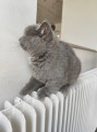 https://www.waibe.fr/sites/delphine59h/medias/images/__HIDDEN__galerie_6/IMG_20260424_161041.jpg