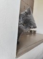 https://www.waibe.fr/sites/delphine59h/medias/images/__HIDDEN__galerie_6/IMG_20260424_161125.jpg