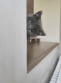 https://www.waibe.fr/sites/delphine59h/medias/images/__HIDDEN__galerie_6/IMG_20260424_161129.jpg