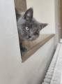 https://www.waibe.fr/sites/delphine59h/medias/images/__HIDDEN__galerie_6/IMG_20260424_161146.jpg