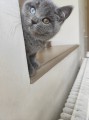 https://www.waibe.fr/sites/delphine59h/medias/images/__HIDDEN__galerie_6/IMG_20260424_161149.jpg