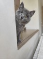 https://www.waibe.fr/sites/delphine59h/medias/images/__HIDDEN__galerie_6/IMG_20260424_161152.jpg
