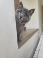 https://www.waibe.fr/sites/delphine59h/medias/images/__HIDDEN__galerie_6/IMG_20260424_161155.jpg