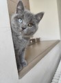 https://www.waibe.fr/sites/delphine59h/medias/images/__HIDDEN__galerie_6/IMG_20260424_161202.jpg