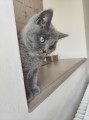https://www.waibe.fr/sites/delphine59h/medias/images/__HIDDEN__galerie_6/IMG_20260424_161203.jpg