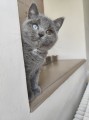 https://www.waibe.fr/sites/delphine59h/medias/images/__HIDDEN__galerie_6/IMG_20260424_161205.jpg