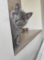 https://www.waibe.fr/sites/delphine59h/medias/images/__HIDDEN__galerie_6/IMG_20260424_161207.jpg