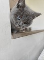 https://www.waibe.fr/sites/delphine59h/medias/images/__HIDDEN__galerie_6/IMG_20260424_161219.jpg