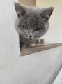 https://www.waibe.fr/sites/delphine59h/medias/images/__HIDDEN__galerie_6/IMG_20260424_161222.jpg