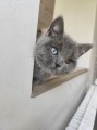 https://www.waibe.fr/sites/delphine59h/medias/images/__HIDDEN__galerie_6/IMG_20260424_161226.jpg
