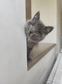 https://www.waibe.fr/sites/delphine59h/medias/images/__HIDDEN__galerie_6/IMG_20260424_161238.jpg