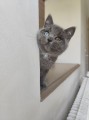 https://www.waibe.fr/sites/delphine59h/medias/images/__HIDDEN__galerie_6/IMG_20260424_161240.jpg