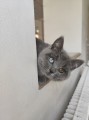 https://www.waibe.fr/sites/delphine59h/medias/images/__HIDDEN__galerie_6/IMG_20260424_161244.jpg