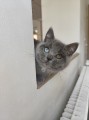 https://www.waibe.fr/sites/delphine59h/medias/images/__HIDDEN__galerie_6/IMG_20260424_161247.jpg