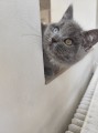 https://www.waibe.fr/sites/delphine59h/medias/images/__HIDDEN__galerie_6/IMG_20260424_161255.jpg