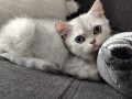 https://www.waibe.fr/sites/delphine59h/medias/images/__HIDDEN__galerie_6/IMG_20260908_143755.jpg