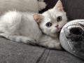 https://www.waibe.fr/sites/delphine59h/medias/images/__HIDDEN__galerie_6/IMG_20260908_143757.jpg