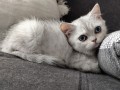 https://www.waibe.fr/sites/delphine59h/medias/images/__HIDDEN__galerie_6/IMG_20260908_143758.jpg