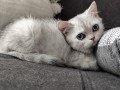 https://www.waibe.fr/sites/delphine59h/medias/images/__HIDDEN__galerie_6/IMG_20260908_143800.jpg