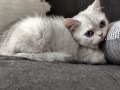 https://www.waibe.fr/sites/delphine59h/medias/images/__HIDDEN__galerie_6/IMG_20260908_143803.jpg