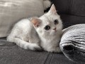 https://www.waibe.fr/sites/delphine59h/medias/images/__HIDDEN__galerie_6/IMG_20260908_143810.jpg
