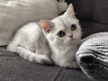 https://www.waibe.fr/sites/delphine59h/medias/images/__HIDDEN__galerie_6/IMG_20260908_143811.jpg