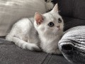 https://www.waibe.fr/sites/delphine59h/medias/images/__HIDDEN__galerie_6/IMG_20260908_143813.jpg