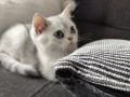 https://www.waibe.fr/sites/delphine59h/medias/images/__HIDDEN__galerie_6/IMG_20260908_143816.jpg