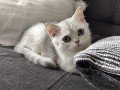 https://www.waibe.fr/sites/delphine59h/medias/images/__HIDDEN__galerie_6/IMG_20260908_143817.jpg