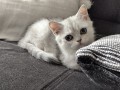 https://www.waibe.fr/sites/delphine59h/medias/images/__HIDDEN__galerie_6/IMG_20260908_143819.jpg