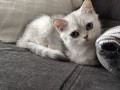 https://www.waibe.fr/sites/delphine59h/medias/images/__HIDDEN__galerie_6/IMG_20260908_143821.jpg
