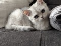 https://www.waibe.fr/sites/delphine59h/medias/images/__HIDDEN__galerie_6/IMG_20260908_143823.jpg
