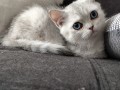 https://www.waibe.fr/sites/delphine59h/medias/images/__HIDDEN__galerie_6/IMG_20260908_143832.jpg