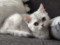 https://www.waibe.fr/sites/delphine59h/medias/images/__HIDDEN__galerie_6/IMG_20260908_143834.jpg