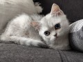 https://www.waibe.fr/sites/delphine59h/medias/images/__HIDDEN__galerie_6/IMG_20260908_143836.jpg