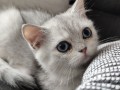 https://www.waibe.fr/sites/delphine59h/medias/images/__HIDDEN__galerie_6/IMG_20260908_143841.jpg