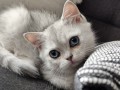 https://www.waibe.fr/sites/delphine59h/medias/images/__HIDDEN__galerie_6/IMG_20260908_143850.jpg