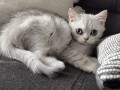 https://www.waibe.fr/sites/delphine59h/medias/images/__HIDDEN__galerie_6/IMG_20260908_143906.jpg