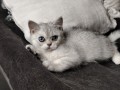 https://www.waibe.fr/sites/delphine59h/medias/images/__HIDDEN__galerie_6/IMG_20260908_143943.jpg