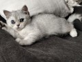 https://www.waibe.fr/sites/delphine59h/medias/images/__HIDDEN__galerie_6/IMG_20260908_143944.jpg