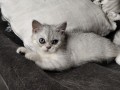 https://www.waibe.fr/sites/delphine59h/medias/images/__HIDDEN__galerie_6/IMG_20260908_143947.jpg