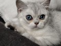 https://www.waibe.fr/sites/delphine59h/medias/images/__HIDDEN__galerie_6/IMG_20260908_143955.jpg