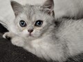 https://www.waibe.fr/sites/delphine59h/medias/images/__HIDDEN__galerie_6/IMG_20260908_144002.jpg
