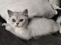 https://www.waibe.fr/sites/delphine59h/medias/images/__HIDDEN__galerie_6/IMG_20260908_144005.jpg