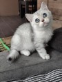 https://www.waibe.fr/sites/delphine59h/medias/images/__HIDDEN__galerie_6/IMG_20260908_144434.jpg