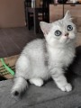 https://www.waibe.fr/sites/delphine59h/medias/images/__HIDDEN__galerie_6/IMG_20260908_144435.jpg