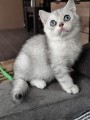https://www.waibe.fr/sites/delphine59h/medias/images/__HIDDEN__galerie_6/IMG_20260908_144438.jpg