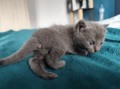 https://www.waibe.fr/sites/delphine59h/medias/images/__HIDDEN__galerie_7/IMG_20250423_145838.jpg