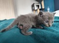 https://www.waibe.fr/sites/delphine59h/medias/images/__HIDDEN__galerie_7/IMG_20250423_145840.jpg